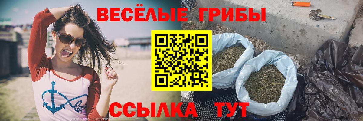 Псилоцибиновые грибы прущие грибы  Вход с VPN  Петропавловск-Камчатский 